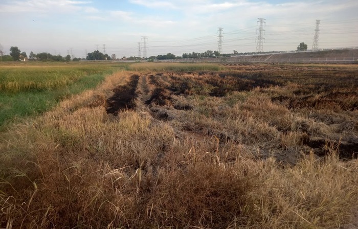 Vẫn còn tình trạng nông dân đốt rơm rạ ngoài đồng sau thu hoạch Vẫn còn tình trạng nông dân đốt rơm rạ ngoài đồng sau thu hoạch