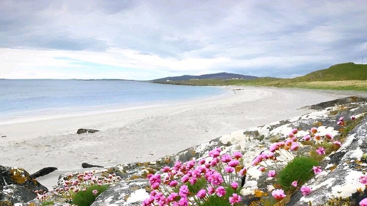 Tử vi vòng quay công nghệ ngày 16/6/2025: Tuổi Tuất gặp mâu thuẫn, tuổi Tỵ tinh thần hăng hái Tử vi vòng quay công nghệ ngày 16/6/2025: Tuổi Tuất gặp mâu thuẫn, tuổi Tỵ tinh thần hăng hái