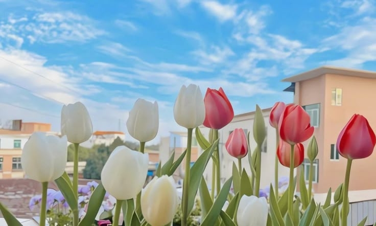 Tử vi vòng quay công nghệ ngày 16/6/2025: Tuổi Tuất gặp mâu thuẫn, tuổi Tỵ tinh thần hăng hái Tử vi vòng quay công nghệ ngày 16/6/2025: Tuổi Tuất gặp mâu thuẫn, tuổi Tỵ tinh thần hăng hái