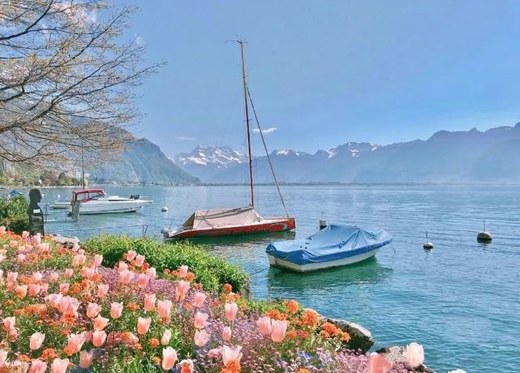 Tử vi vòng quay công nghệ ngày 16/6/2025: Tuổi Tuất gặp mâu thuẫn, tuổi Tỵ tinh thần hăng hái Tử vi vòng quay công nghệ ngày 16/6/2025: Tuổi Tuất gặp mâu thuẫn, tuổi Tỵ tinh thần hăng hái