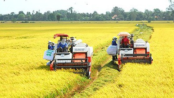 Ngành nông nghiệp và môi trường: Phân cấp, phân quyền để phát huy tối đa tiềm năng