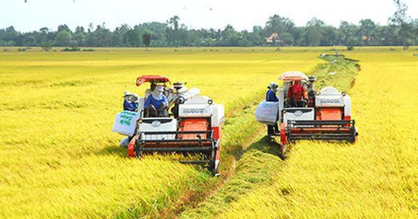 Phân cấp, phân quyền để phát huy tối đa tiềm năng Phân cấp, phân quyền để phát huy tối đa tiềm năng