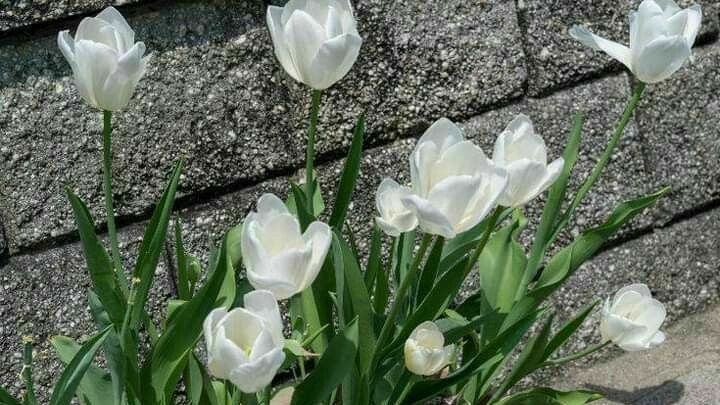 Tử vi vòng quay công nghệ ngày 18/6/2025: Tuổi Mão cơ hội phát tài, tuổi Thìn bị kẻ xấu phá Tử vi vòng quay công nghệ ngày 18/6/2025: Tuổi Mão cơ hội phát tài, tuổi Thìn bị kẻ xấu phá