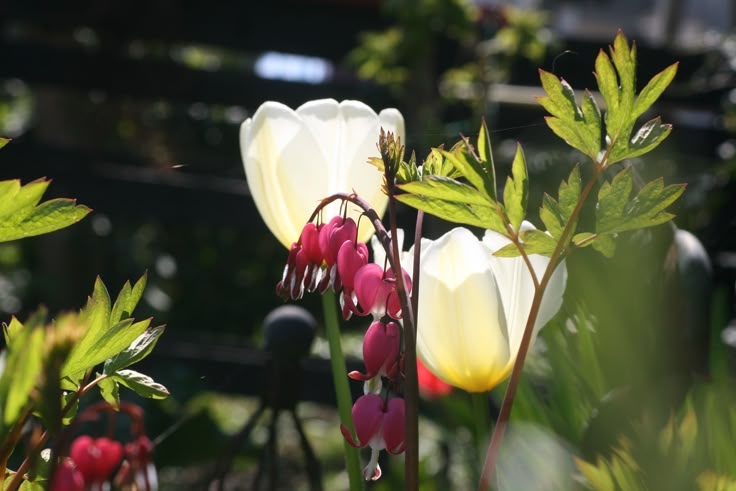 Tử vi vòng quay công nghệ ngày 18/6/2025: Tuổi Mão cơ hội phát tài, tuổi Thìn bị kẻ xấu phá Tử vi vòng quay công nghệ ngày 18/6/2025: Tuổi Mão cơ hội phát tài, tuổi Thìn bị kẻ xấu phá