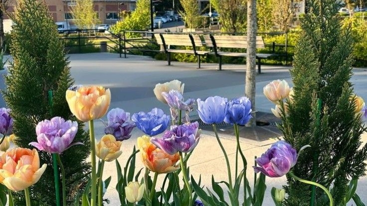 Tử vi vòng quay công nghệ ngày 19/6/2025: Tuổi Mùi có trục trặc, tuổi Tý được thăng chức