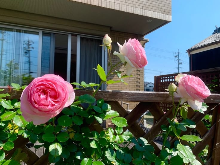 Tử vi vòng quay công nghệ ngày 20/6/2025: Tuổi Tuất vướng rắc rối, tuổi Tỵ tin vui tình cảm Tử vi vòng quay công nghệ ngày 20/6/2025: Tuổi Tuất vướng rắc rối, tuổi Tỵ tin vui tình cảm