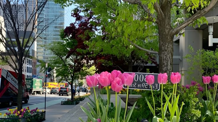 Tử vi vòng quay công nghệ ngày 20/6/2025: Tuổi Tuất vướng rắc rối, tuổi Tỵ tin vui tình cảm Tử vi vòng quay công nghệ ngày 20/6/2025: Tuổi Tuất vướng rắc rối, tuổi Tỵ tin vui tình cảm