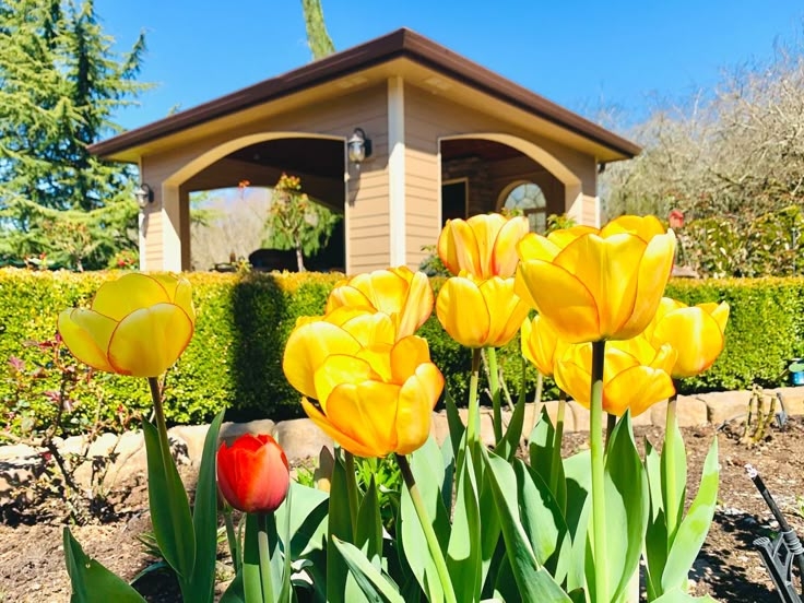 Tử vi vòng quay công nghệ ngày 21/6/2025: Tuổi Thân tin vui tài lộc, tuổi Tuất gặp khó khăn