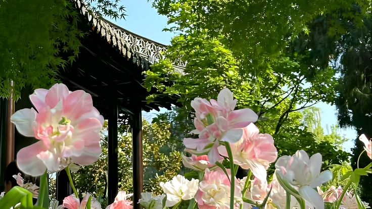 Tử vi vòng quay công nghệ ngày 22/6/2025: Tuổi Hợi gặt hái thành công, tuổi Thìn mất phương hướng Tử vi vòng quay công nghệ ngày 22/6/2025: Tuổi Hợi gặt hái thành công, tuổi Thìn mất phương hướng