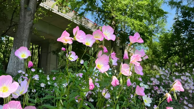 Tử vi vòng quay công nghệ ngày 22/6/2025: Tuổi Hợi gặt hái thành công, tuổi Thìn mất phương hướng Tử vi vòng quay công nghệ ngày 22/6/2025: Tuổi Hợi gặt hái thành công, tuổi Thìn mất phương hướng