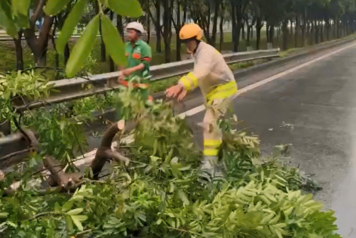 TP.HCM: Đảm bảo an toàn giao thông mùa mưa bão TP.HCM: Đảm bảo an toàn giao thông mùa mưa bão