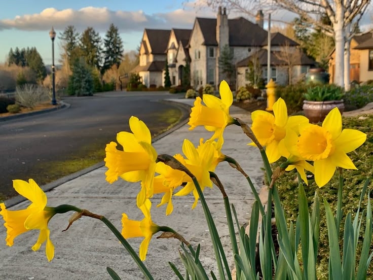 Tử vi vòng quay công nghệ ngày 23/6/2025: Tuổi Sửu nhiều tin vui, tuổi Thân lo âu nhiều chuyện Tử vi vòng quay công nghệ ngày 23/6/2025: Tuổi Sửu nhiều tin vui, tuổi Thân lo âu nhiều chuyện