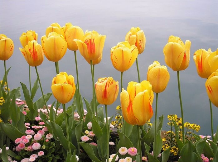 Tử vi vòng quay công nghệ ngày 23/6/2025: Tuổi Sửu nhiều tin vui, tuổi Thân lo âu nhiều chuyện Tử vi vòng quay công nghệ ngày 23/6/2025: Tuổi Sửu nhiều tin vui, tuổi Thân lo âu nhiều chuyện