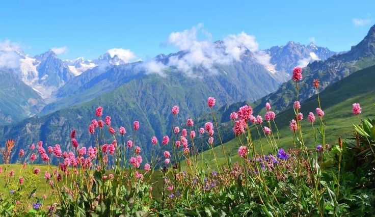 Tử vi vòng quay công nghệ ngày 24/6/2025: Tuổi Tý không mấy thuận lợi, tuổi Tỵ công việc khá tốt Tử vi vòng quay công nghệ ngày 24/6/2025: Tuổi Tý không mấy thuận lợi, tuổi Tỵ công việc khá tốt