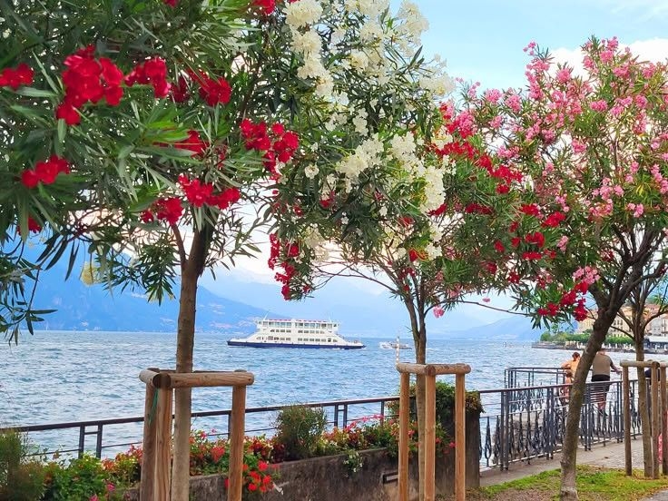 Tử vi vòng quay công nghệ ngày 25/6/2025: Tuổi Dậu chịu áp lực, tuổi Sửu tràn đầy năng lượng Tử vi vòng quay công nghệ ngày 25/6/2025: Tuổi Dậu chịu áp lực, tuổi Sửu tràn đầy năng lượng