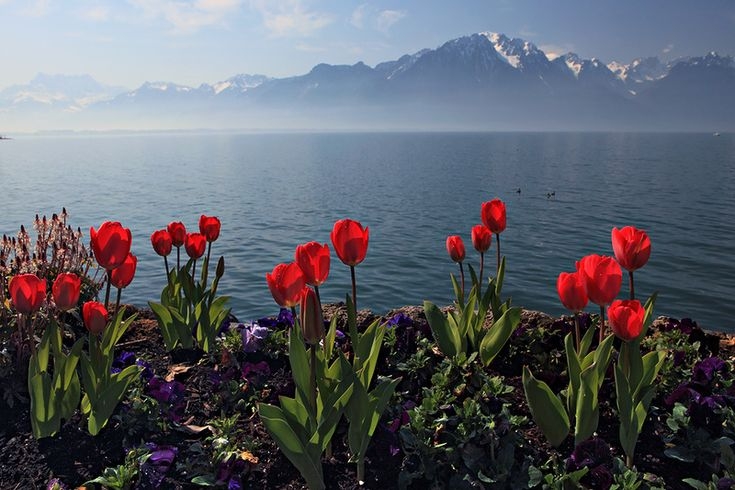 Tử vi vòng quay công nghệ ngày 25/6/2025: Tuổi Dậu chịu áp lực, tuổi Sửu tràn đầy năng lượng Tử vi vòng quay công nghệ ngày 25/6/2025: Tuổi Dậu chịu áp lực, tuổi Sửu tràn đầy năng lượng