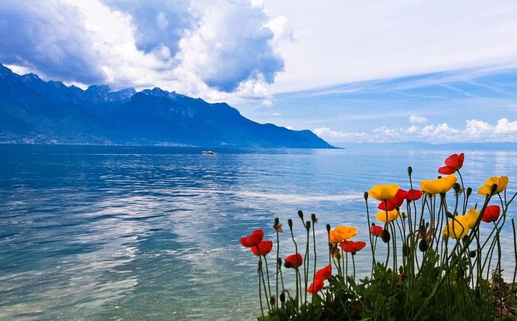 Tử vi vòng quay công nghệ ngày 25/6/2025: Tuổi Dậu chịu áp lực, tuổi Sửu tràn đầy năng lượng Tử vi vòng quay công nghệ ngày 25/6/2025: Tuổi Dậu chịu áp lực, tuổi Sửu tràn đầy năng lượng