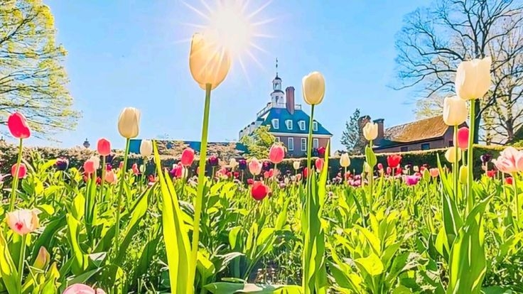 Tử vi vòng quay công nghệ ngày 26/6/2025: Tuổi Sửu gặp vài rắc rối, tuổi Tỵ quý nhân che chở