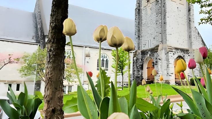 Tử vi vòng quay công nghệ ngày 26/6/2025: Tuổi Sửu gặp vài rắc rối, tuổi Tỵ quý nhân che chở