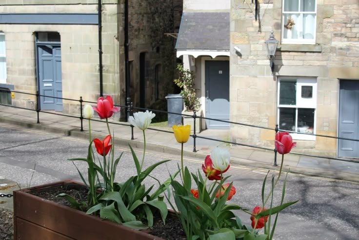 Tử vi vòng quay công nghệ ngày 27/6/2025: Tuổi Sửu tin vui tình cảm, tuổi Ngọ gặp bất trắc Tử vi vòng quay công nghệ ngày 27/6/2025: Tuổi Sửu tin vui tình cảm, tuổi Ngọ gặp bất trắc