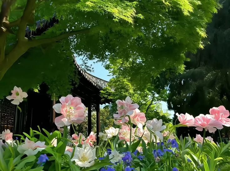 Tử vi vòng quay công nghệ ngày 27/6/2025: Tuổi Sửu tin vui tình cảm, tuổi Ngọ gặp bất trắc Tử vi vòng quay công nghệ ngày 27/6/2025: Tuổi Sửu tin vui tình cảm, tuổi Ngọ gặp bất trắc