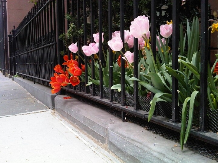 Tử vi vòng quay công nghệ ngày 27/6/2025: Tuổi Sửu tin vui tình cảm, tuổi Ngọ gặp bất trắc Tử vi vòng quay công nghệ ngày 27/6/2025: Tuổi Sửu tin vui tình cảm, tuổi Ngọ gặp bất trắc