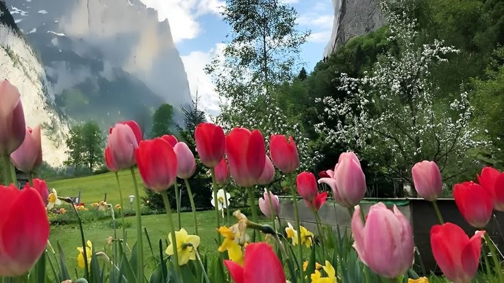 Tử vi vòng quay công nghệ ngày 28/6/2025: Tuổi Tuất gặp khó khăn, tuổi Tỵ tài vận hanh thông Tử vi vòng quay công nghệ ngày 28/6/2025: Tuổi Tuất gặp khó khăn, tuổi Tỵ tài vận hanh thông