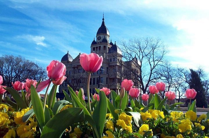 Tử vi vòng quay công nghệ ngày 28/6/2025: Tuổi Tuất gặp khó khăn, tuổi Tỵ tài vận hanh thông Tử vi vòng quay công nghệ ngày 28/6/2025: Tuổi Tuất gặp khó khăn, tuổi Tỵ tài vận hanh thông