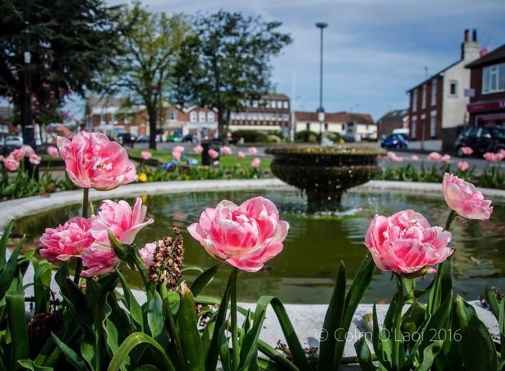 Tử vi vòng quay công nghệ ngày 29/6/2025: Tuổi Tý gặp nhiều khó khăn, tuổi Dậu xảy ra cãi vã