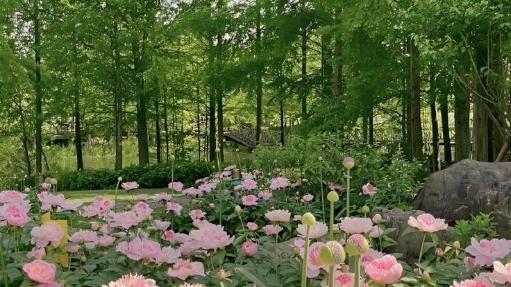 Tử vi vòng quay công nghệ ngày 29/6/2025: Tuổi Tý gặp nhiều khó khăn, tuổi Dậu xảy ra cãi vã