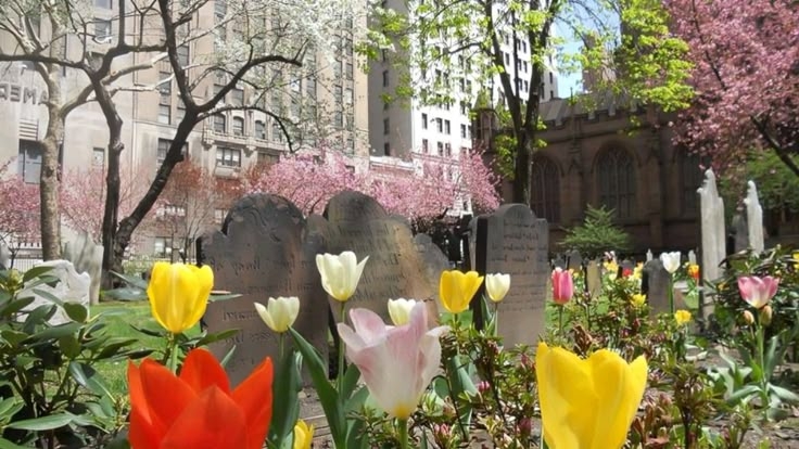 Tử vi vòng quay công nghệ ngày 1/7/2025: Tuổi Tuất có kẻ cản trở, tuổi Dần công việc khởi sắc Tử vi vòng quay công nghệ ngày 1/7/2025: Tuổi Tuất có kẻ cản trở, tuổi Dần công việc khởi sắc