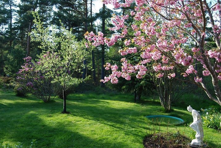 Tử vi vòng quay công nghệ ngày 1/7/2025: Tuổi Tuất có kẻ cản trở, tuổi Dần công việc khởi sắc Tử vi vòng quay công nghệ ngày 1/7/2025: Tuổi Tuất có kẻ cản trở, tuổi Dần công việc khởi sắc