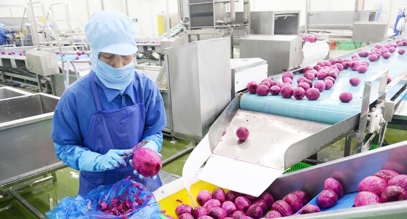 Đồng Tháp đẩy mạnh chế biến sâu, mở rộng thị trường tiêu thụ nông sản