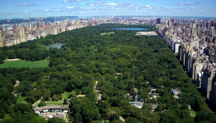 New York thúc đẩy chiến lược phủ xanh đô thị, ứng phó biến đổi khí hậu New York thúc đẩy chiến lược phủ xanh đô thị, ứng phó biến đổi khí hậu