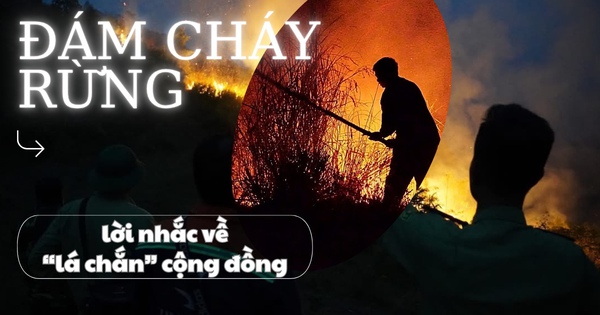 Đám cháy rừng và lời nhắc về ‘lá chắn’ cộng đồng