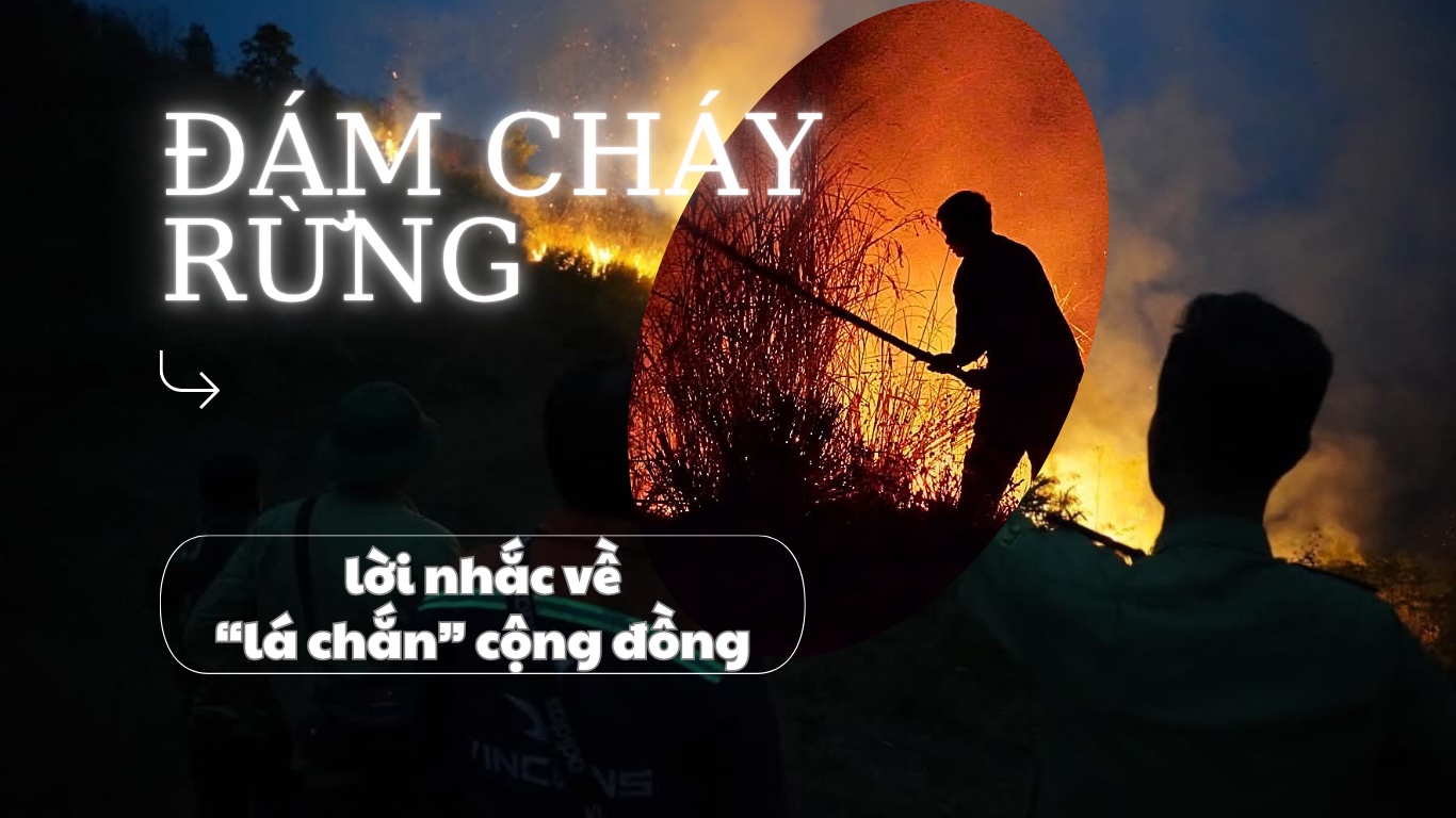 Đám cháy rừng và lời nhắc về ‘lá chắn’ cộng đồng
