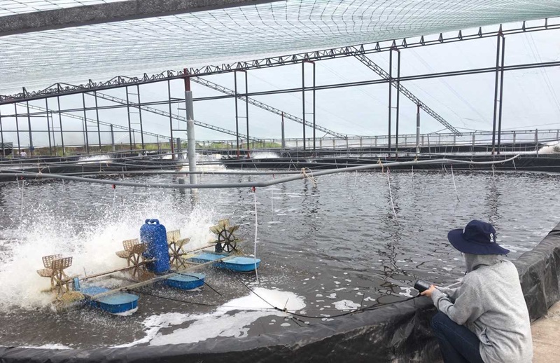 Triển khai hiệu quả công tác quan trắc, cảnh báo môi trường tại vùng nuôi thủy sản