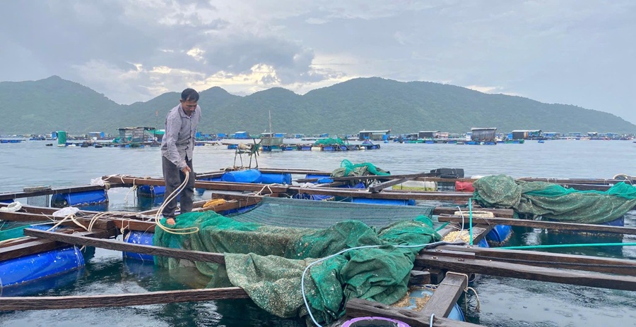 Triển khai hiệu quả công tác quan trắc, cảnh báo môi trường tại vùng nuôi thủy sản