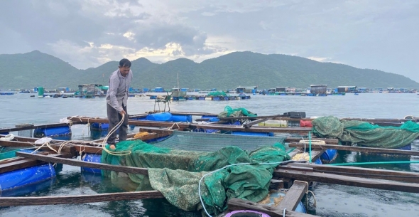 Triển khai hiệu quả công tác quan trắc, cảnh báo môi trường tại vùng nuôi thủy sản