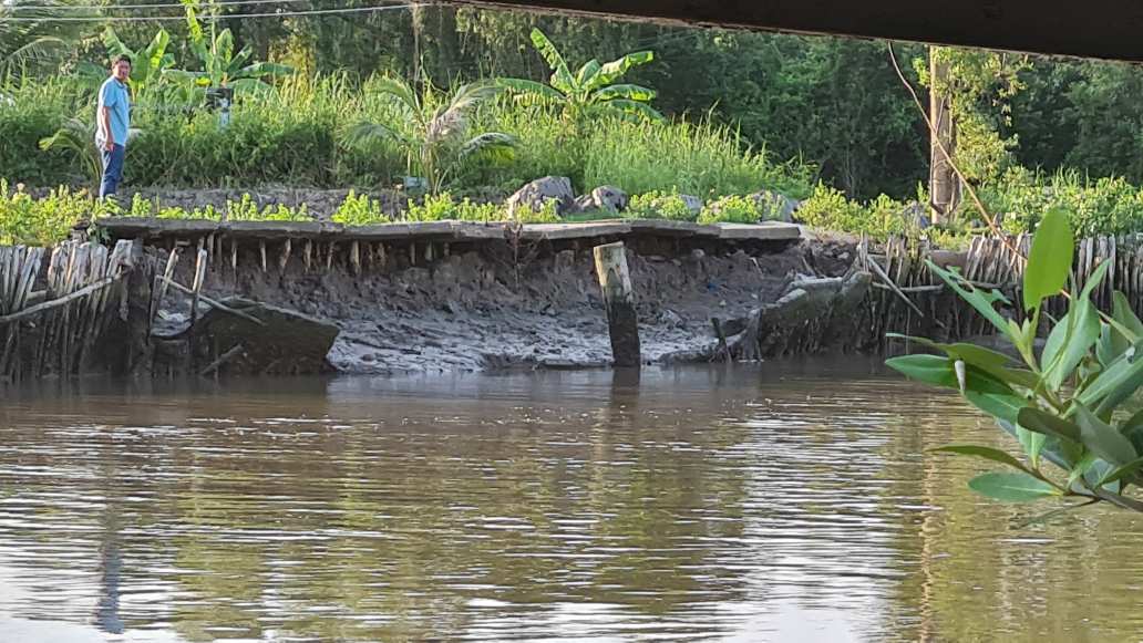 Cà Mau tập trung nguồn lực, ứng phó tình trạng sạt lở, sụt lún