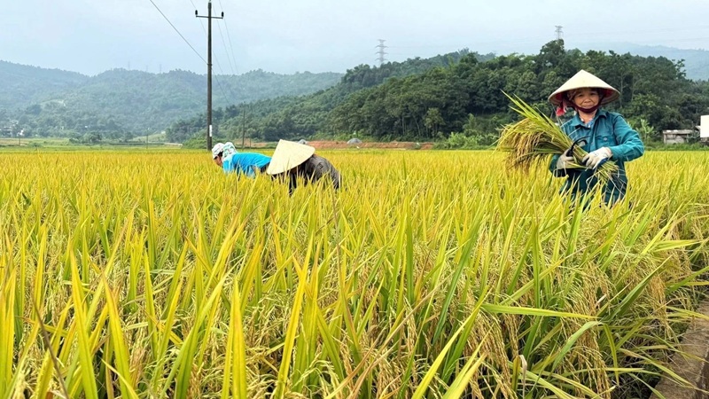 Phát triển nông nghiệp theo hướng tăng trưởng xanh