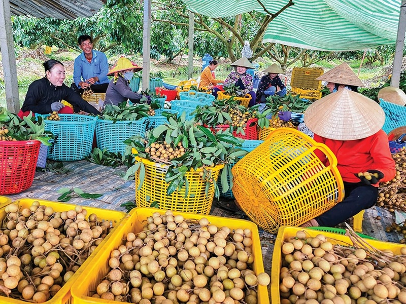 Phát triển công nghiệp chế biến nâng cao giá trị nông sản