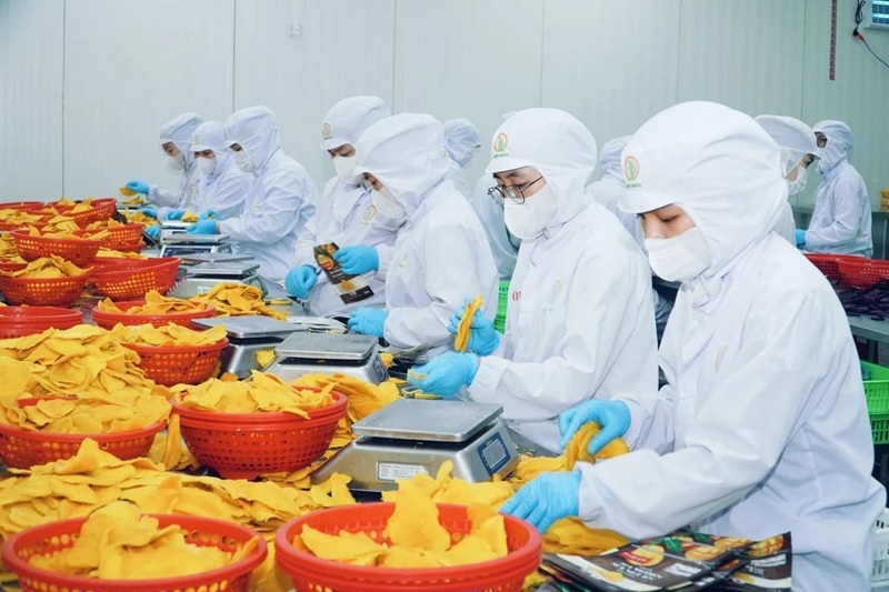 Phát triển công nghiệp chế biến nâng cao giá trị nông sản