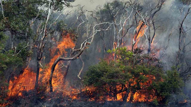 Australia kích hoạt cảnh báo, ứng phó El Nino