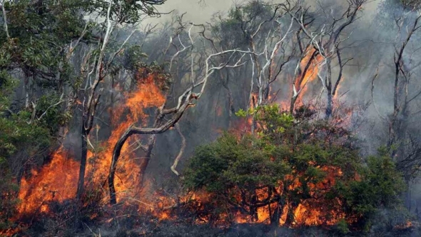 Australia kích hoạt cảnh báo, ứng phó El Nino