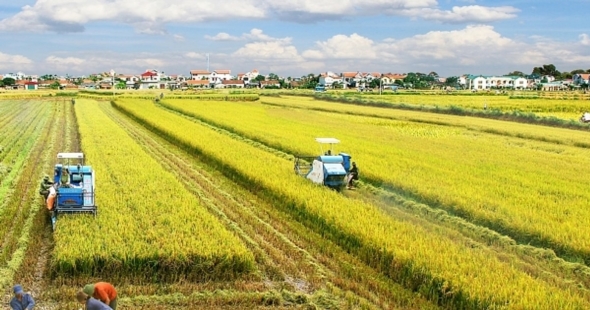 Tạo động lực tăng trưởng từ chuyển đổi tư duy phát triển nông nghiệp