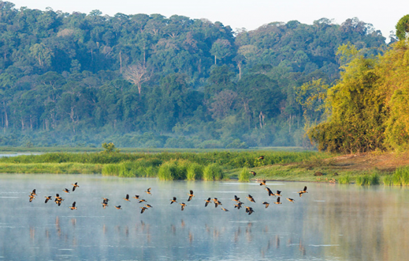 Hệ thống dữ liệu đa dạng sinh học quốc gia được vận hành thế nào?