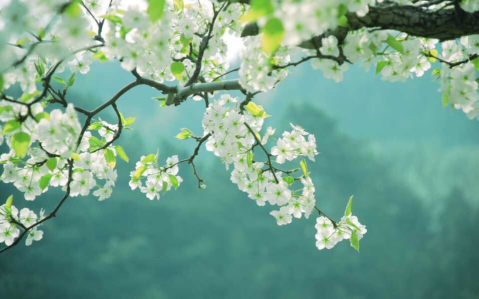 Tử vi vòng quay công nghệ ngày 26/6/2026: Tuổi Tỵ công danh rộng mở, tuổi Tuất cẩn trọng thị phi