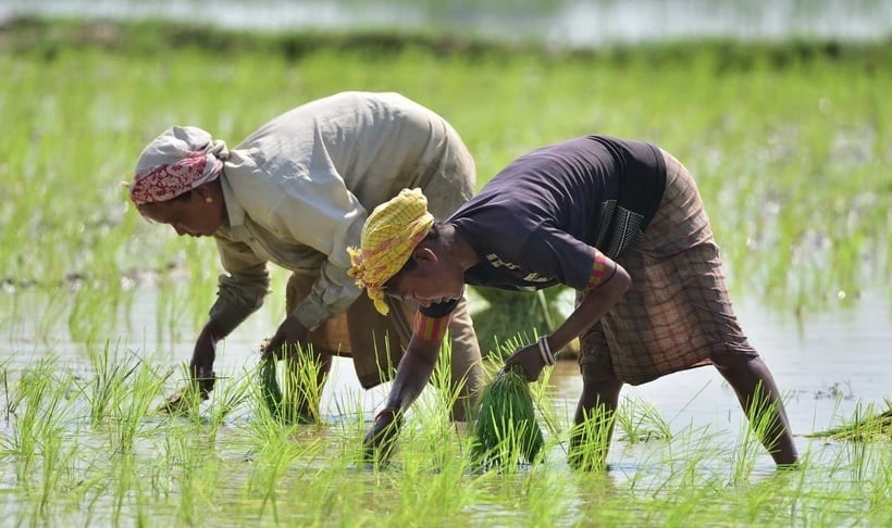 Ấn Độ triển khai kịch bản ứng phó tác động từ El Nino
