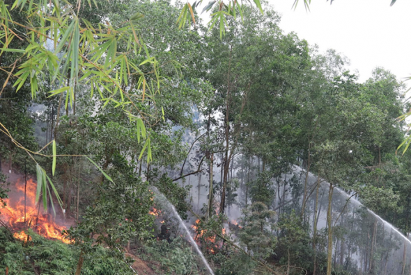 Theo dõi sát diễn biến thời tiết, đặc biệt khu vực rừng có nguy cơ cháy cao